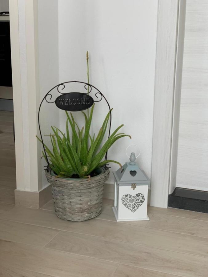 Apartment Salov Trogir Rom bilde